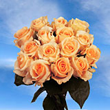 50 Orange Roses Unique Enchantment!